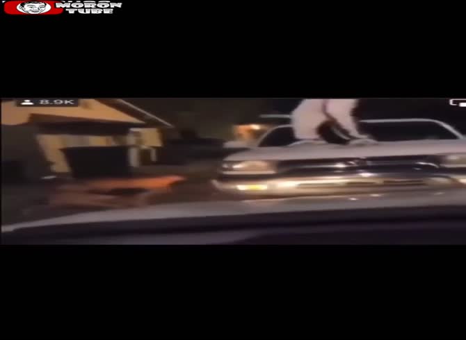 Video :He destroys 3 pit bulls with a board as they try to attack him